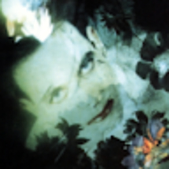 Meet your Posher, Sebastian - Picture 1 of 1